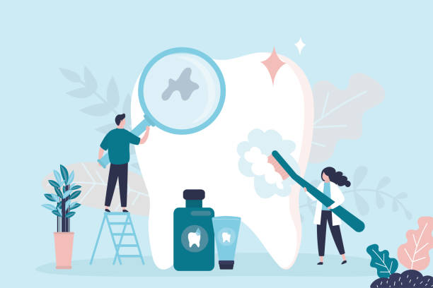 Trusted Mirrormont, WA Holistic Dental Care Services Experts